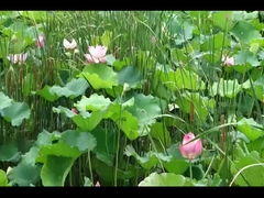 LanTu TREE Voyah gratis auto Voyah SUV elektrische auto 520KM Snel opladen 0.5H