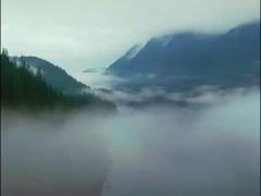 Voyah gratis SUV elektrische auto